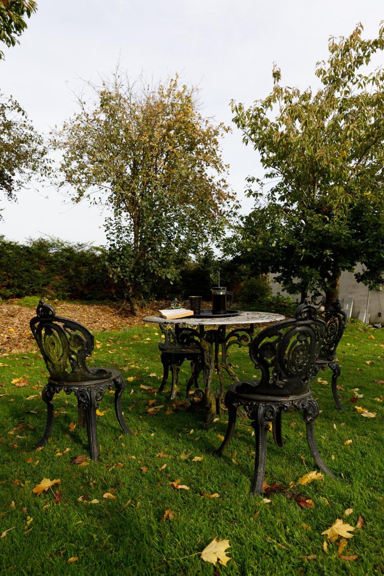 Oak House Laois B&B Portarlington Exterior foto