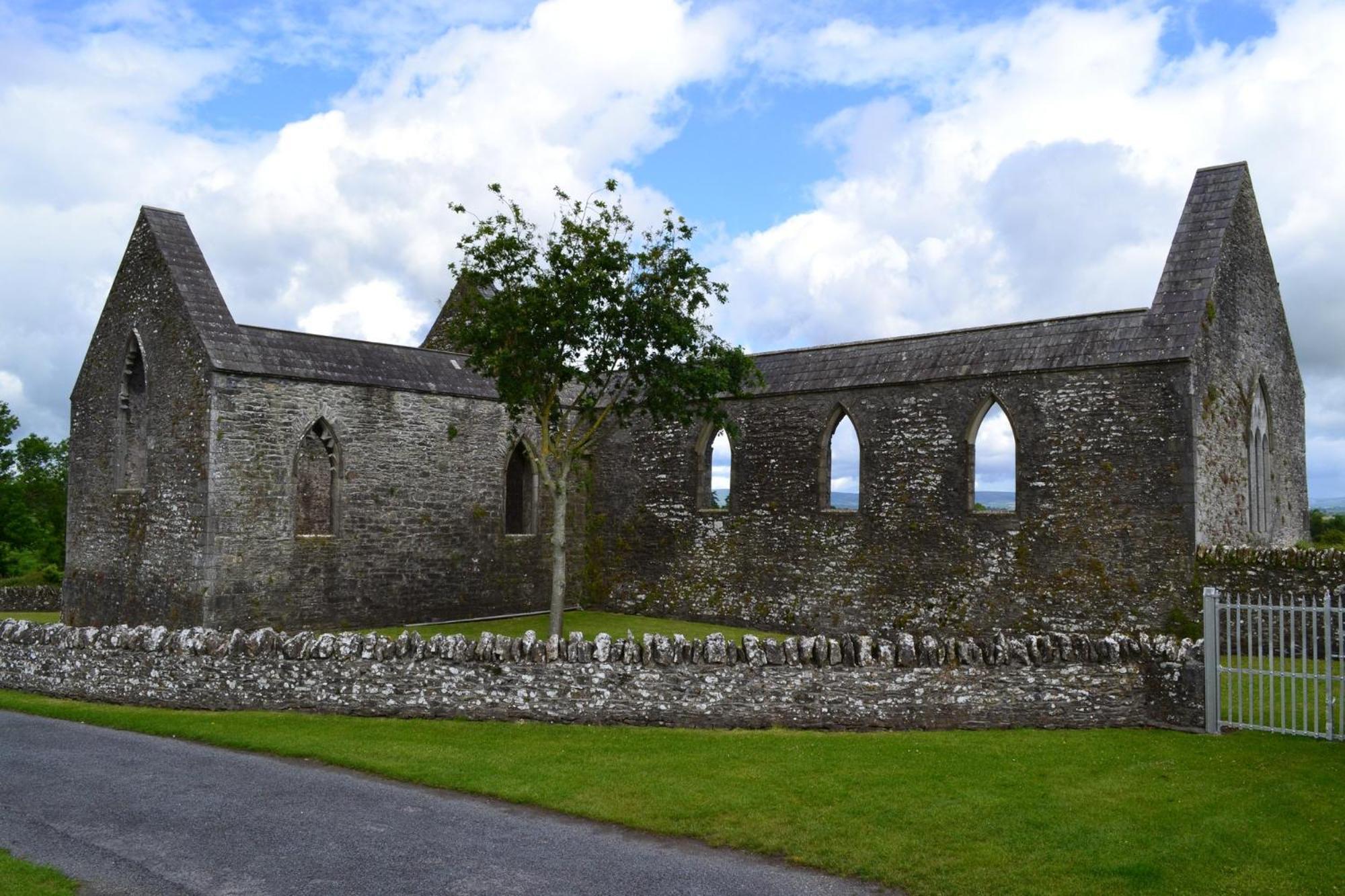 Oak House Laois B&B Portarlington Exterior foto